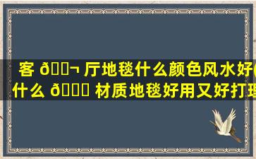 客 🐬 厅地毯什么颜色风水好(什么 🍀 材质地毯好用又好打理)